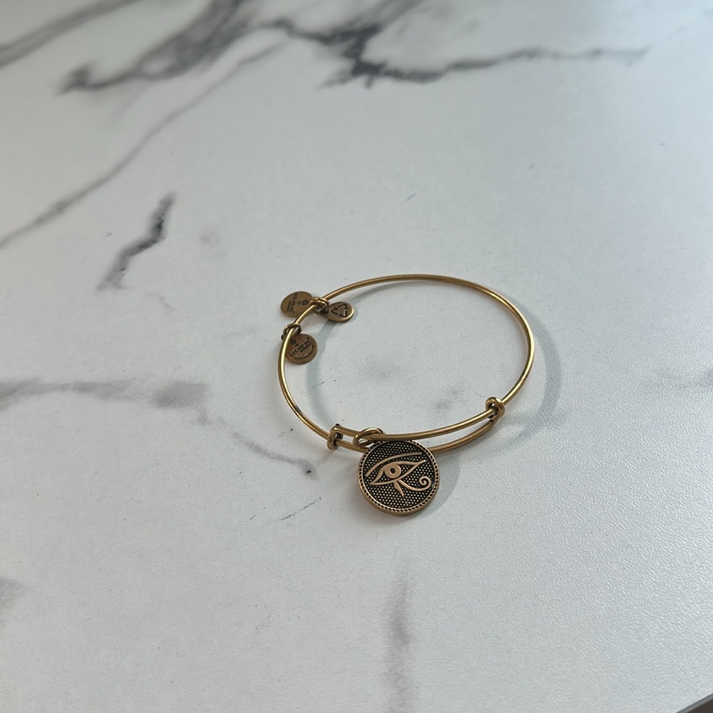 Pre owned Alex and Ani 2014 Charm Bangle Bracelet - Picture 12 of 13